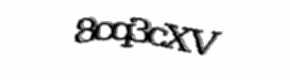 Security check image, please type the characters shown